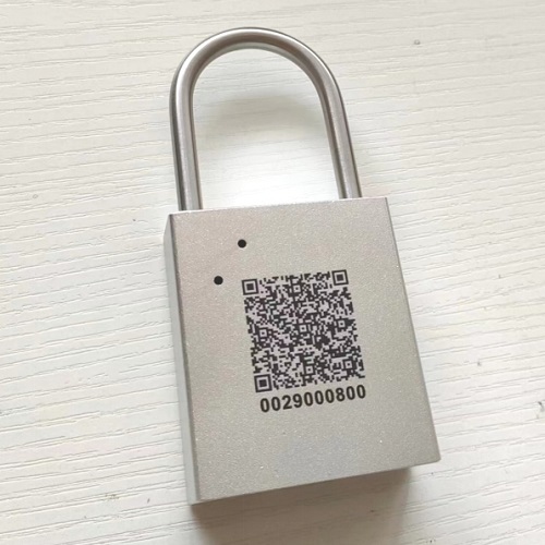 无源电子锁挂锁ELT-GS1-50